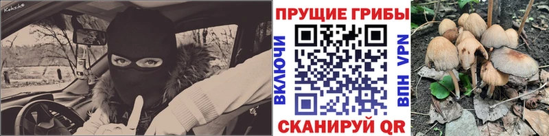 Купить закладки  Дедовск  Галлюциногенные грибы мицелий 